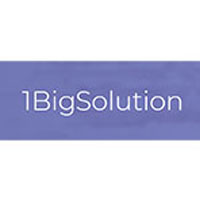 1BigSolution