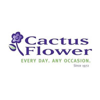 Cactus Flower