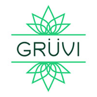 Gruvi