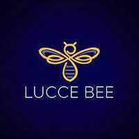 Lucce Bee