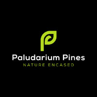 Paludarium Pines