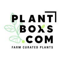 PlantBoxs