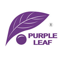 Purple Leaf