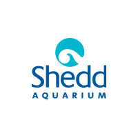 Shedd Aquarium