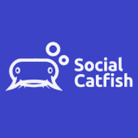 Social Catfish