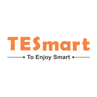 TESmart