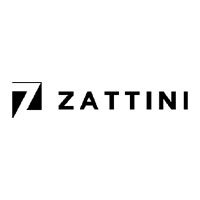 Zattini