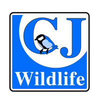 CJ Wildlife