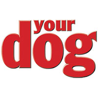 Your Dog